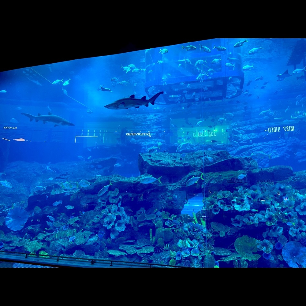 Meet your Posher, Ada